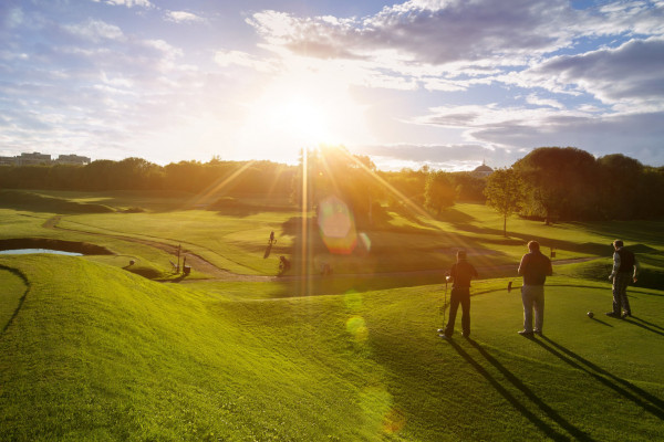 Площадки Московский городской Гольф Клуб