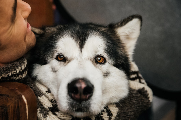 Backstage TOP15MOSCOW: «И все-таки, они — лучшие.