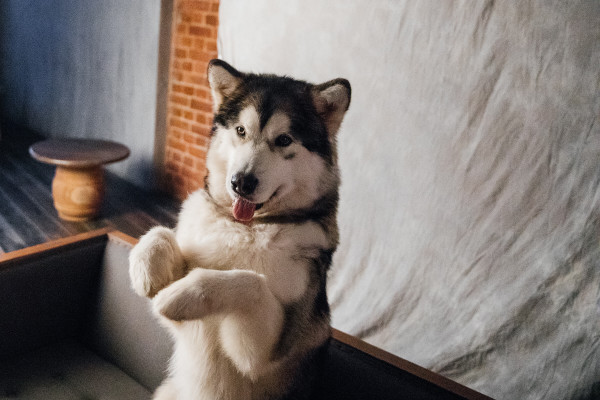 Backstage TOP15MOSCOW: «И все-таки, они — лучшие.