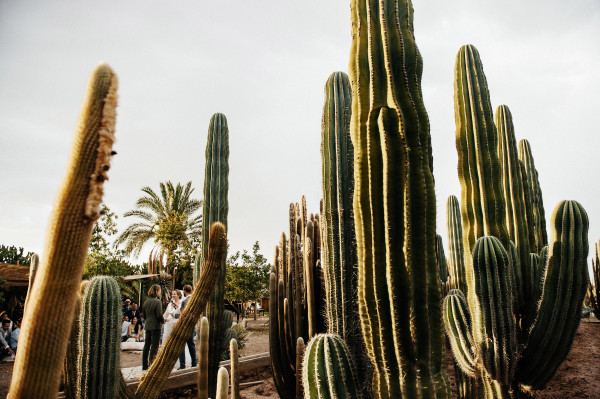 Свадьба Кевина и Евгении в Марокко