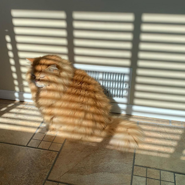 Без курсов и репетиторов. 7 идей, как