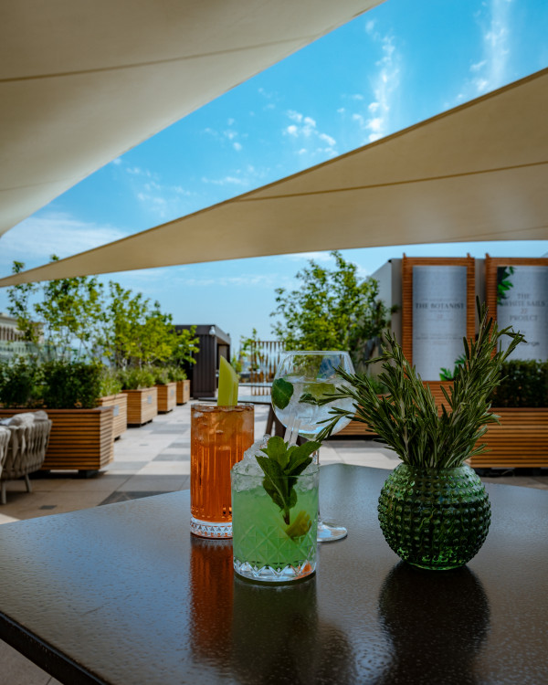 На крыше отеля The Ritz-Carlton открылась обновленная