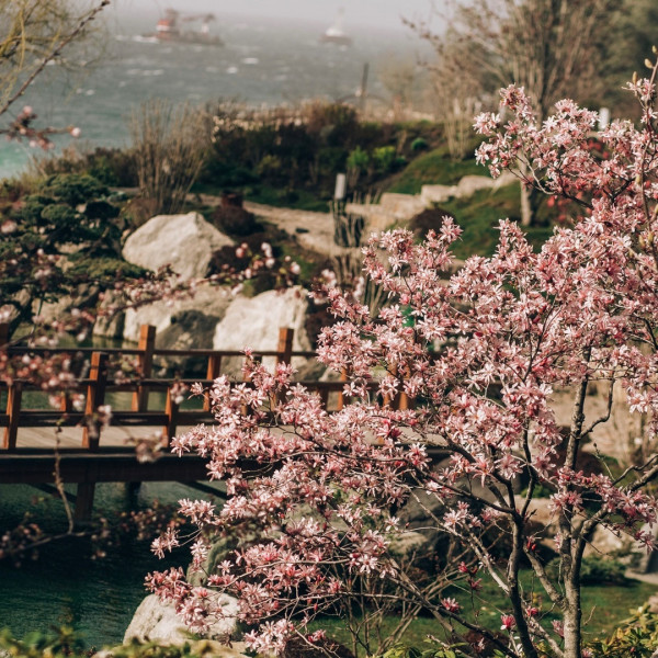 Куда и когда можно поехать в отпуск