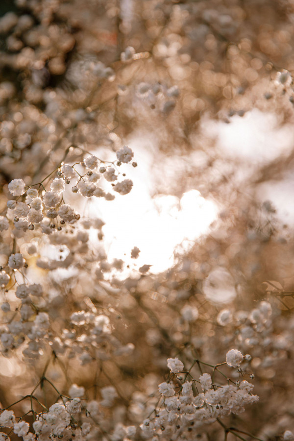 Уютная свадьба с церемонией на берегу Тирренского