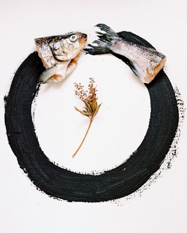 Фотография и искусство. Максим Колибердин о своем