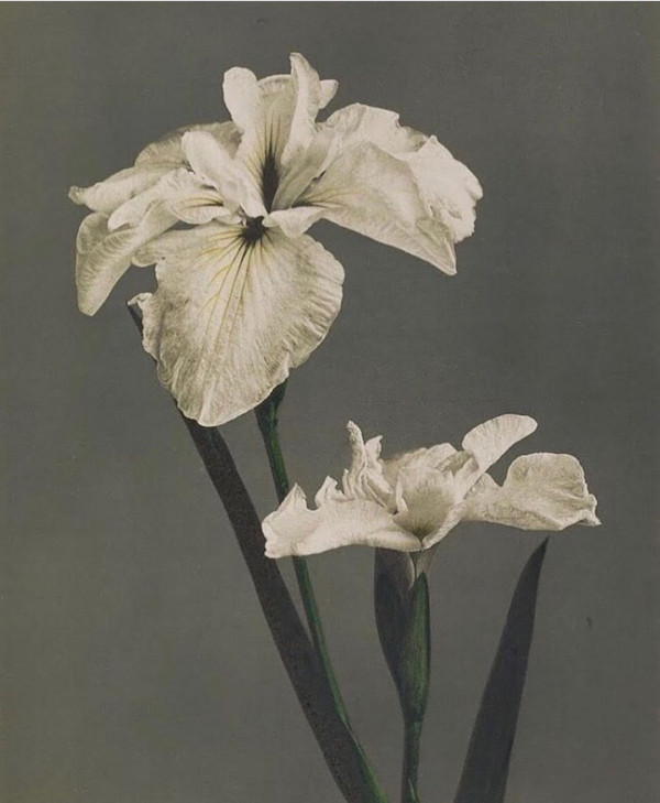 Выходим из самоизоляции с обновками из онлайн-магазина