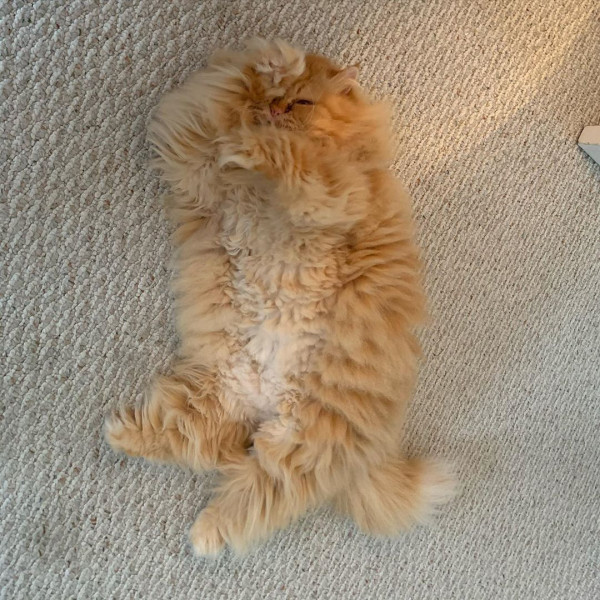 Без курсов и репетиторов. 7 идей, как