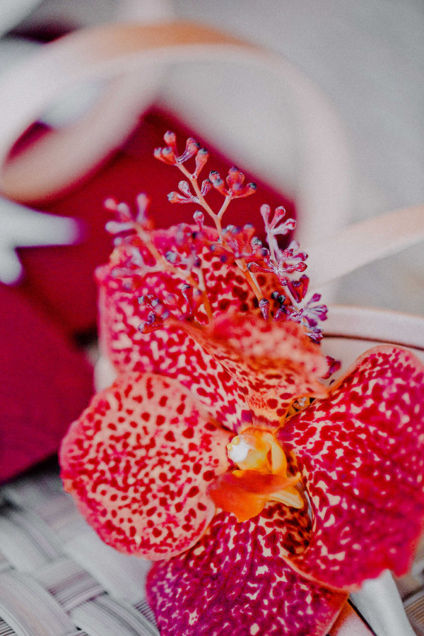 Ослепительная свадьба в Черногории