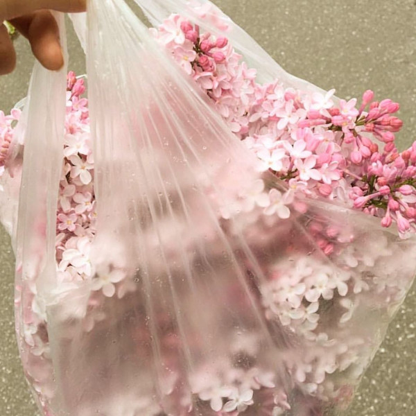 «Инстаграмные» сладкие тосты для девичника