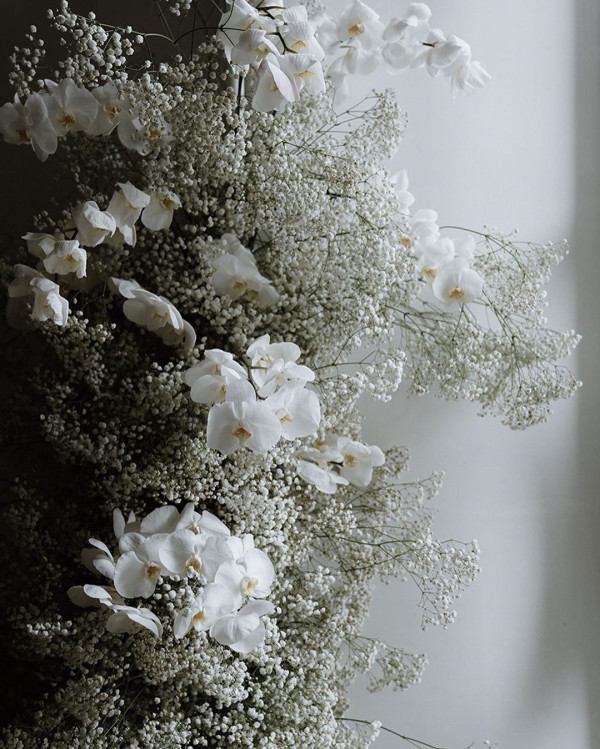 Гипсофила — самый модный свадебный цветок 2020