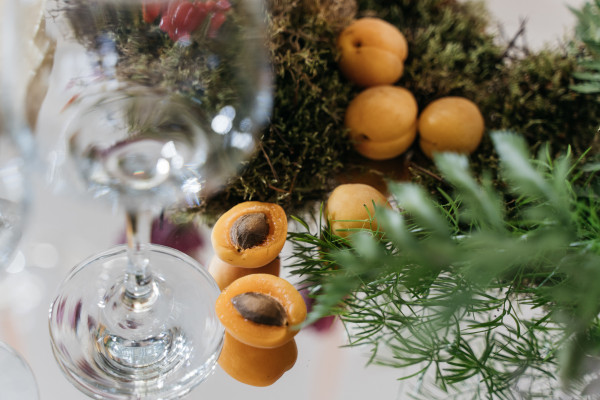 Декораторы Фанина Открытка