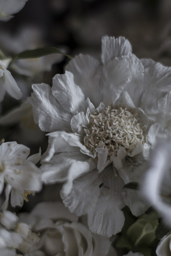 Фотографы Анна Годунова