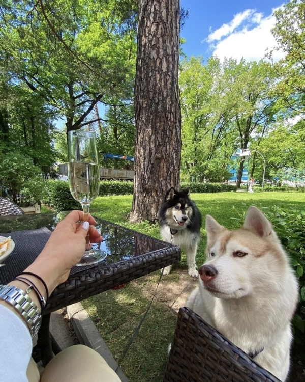 Лето в городе: 15 модных веранд Москвы,