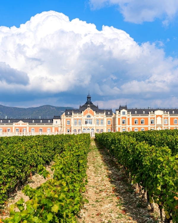 Лучшие загородные площадки для свадьбы под открытым