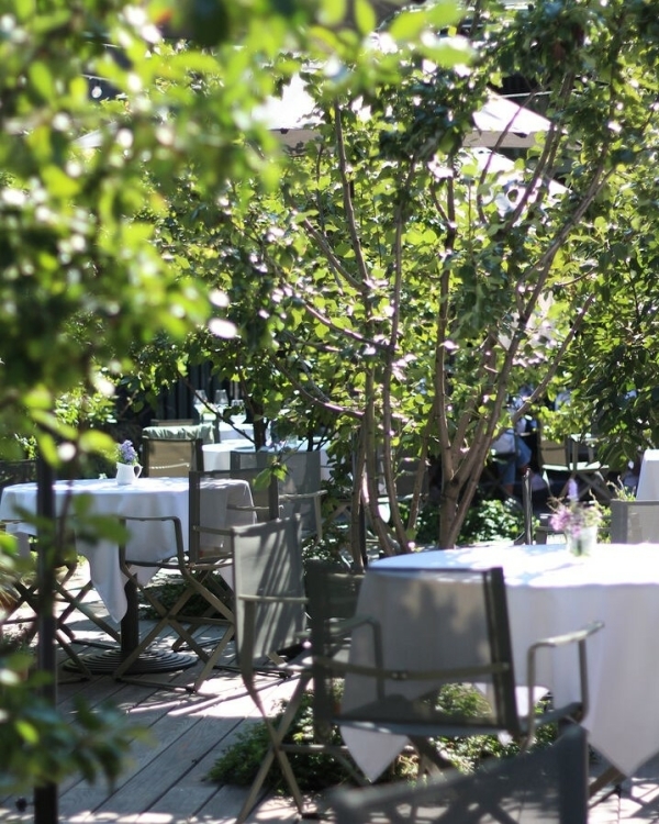 Рестораны с открытыми верандами в Питере 2022