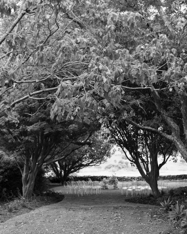 Что делать, если перед свадьбой появились сомнения?