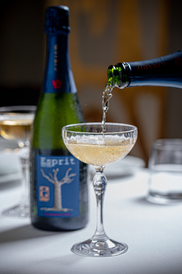 Площадки Гвидон