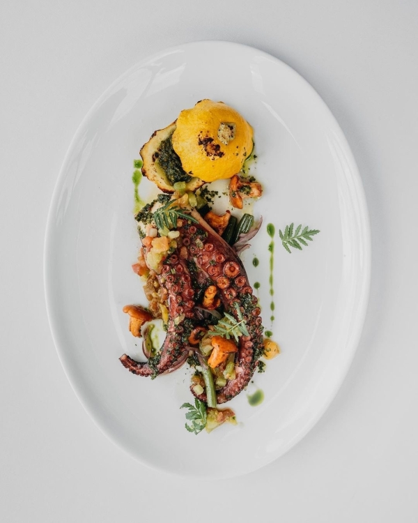 Площадки White Rabbit