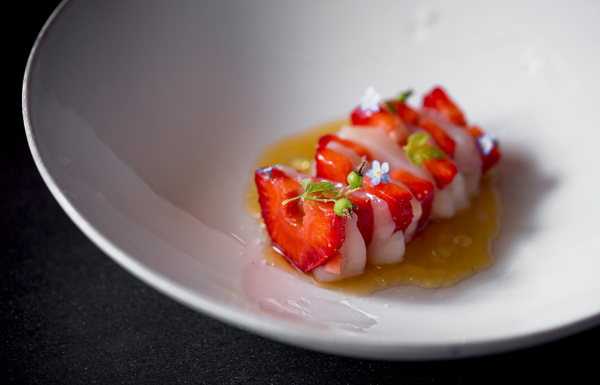 Площадки White Rabbit