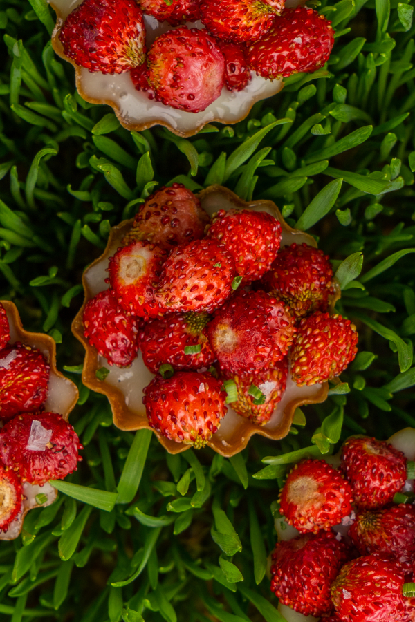 Площадки White Rabbit