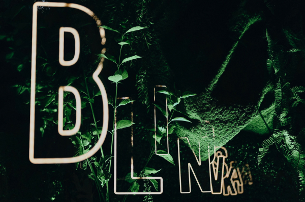 Декораторы Анна Бурцева