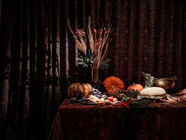 Площадки Гвидон