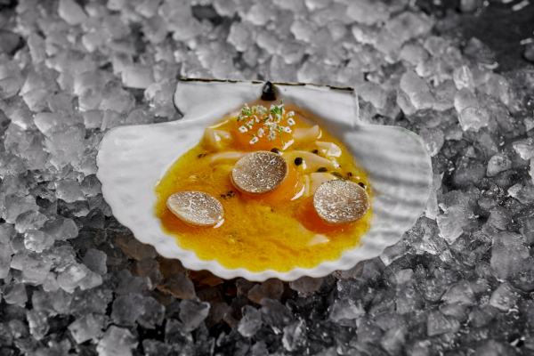 Площадки White Rabbit