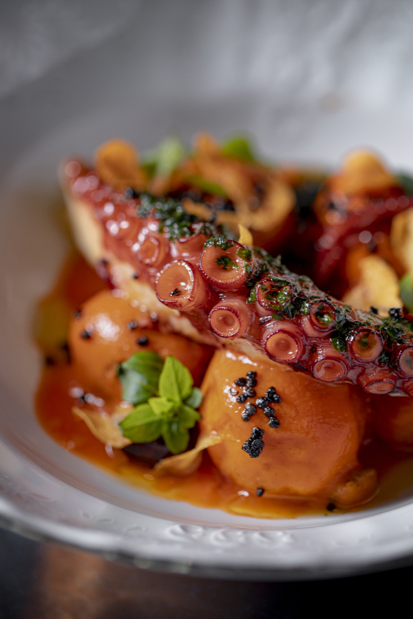 Площадки Гвидон