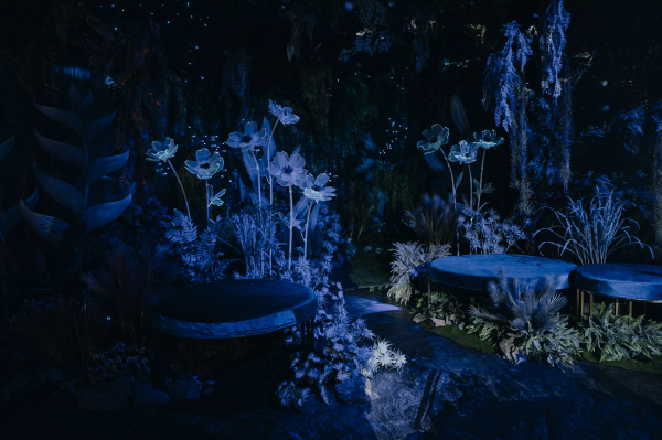 Декораторы Анна Бурцева