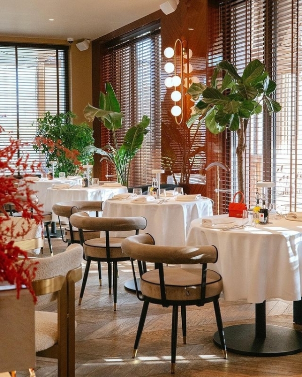 5 ресторанов Санкт-Петербурга с эталонным французским меню