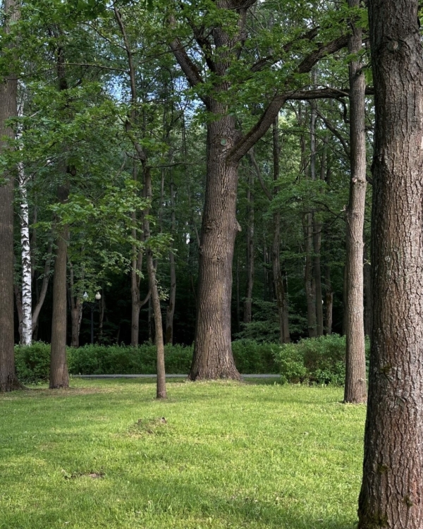 Где устроить пикник в Москве?
