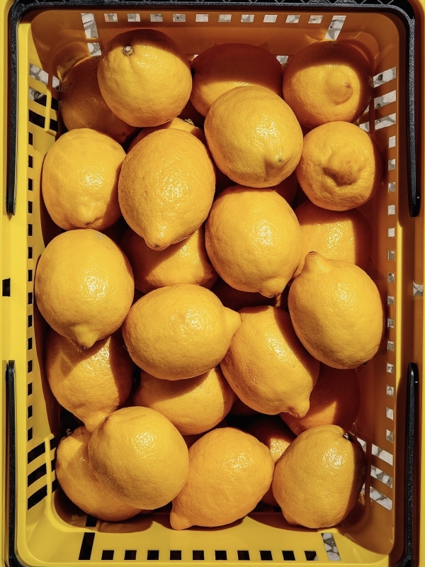 Пакуем чемоданы! Вот самые ожидаемые события лета