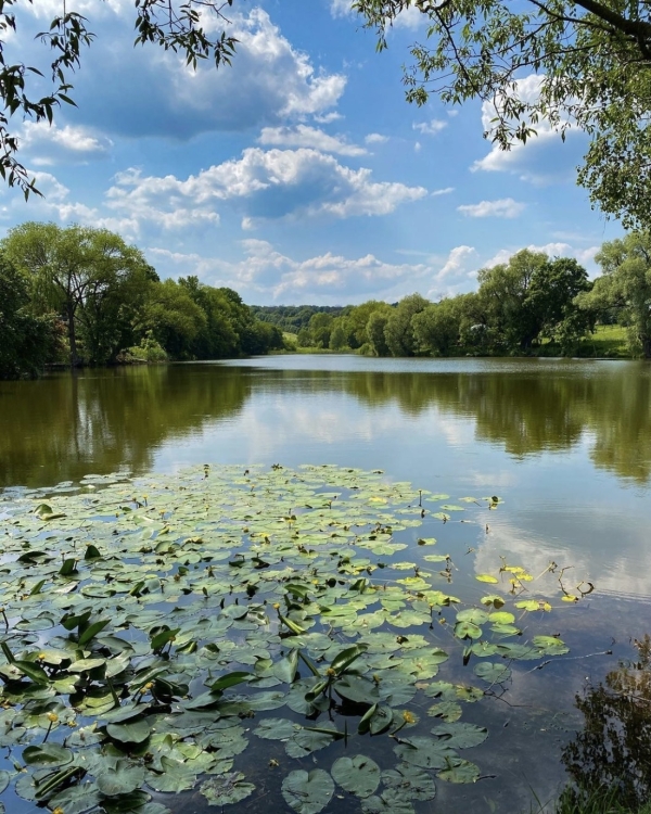 Куда поехать на выходные из Москвы?