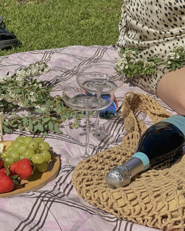 Где устроить пикник в Москве?