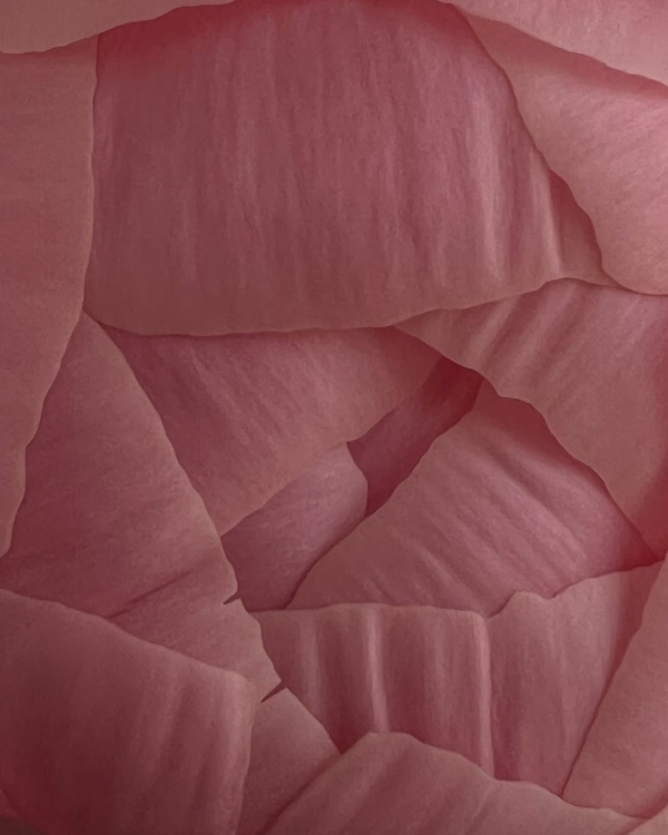 Как ухаживать за букетом невесты, чтобы он