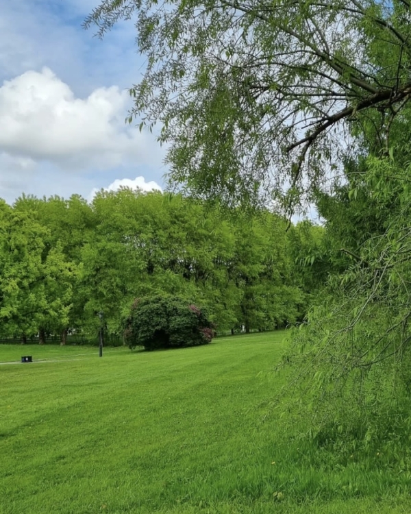 Где устроить пикник в Москве?