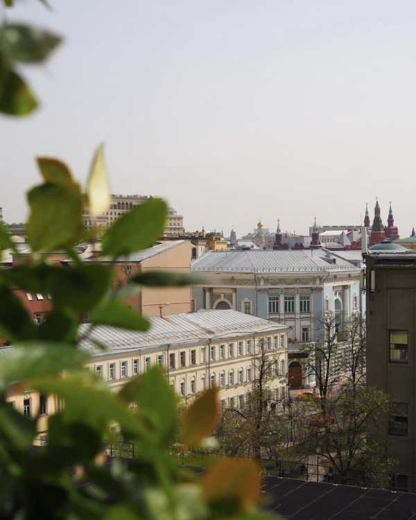 Дачная атмосфера в Muse, пышные оладушки в