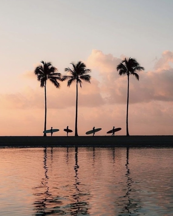 Лови волну! Где встать на серф в