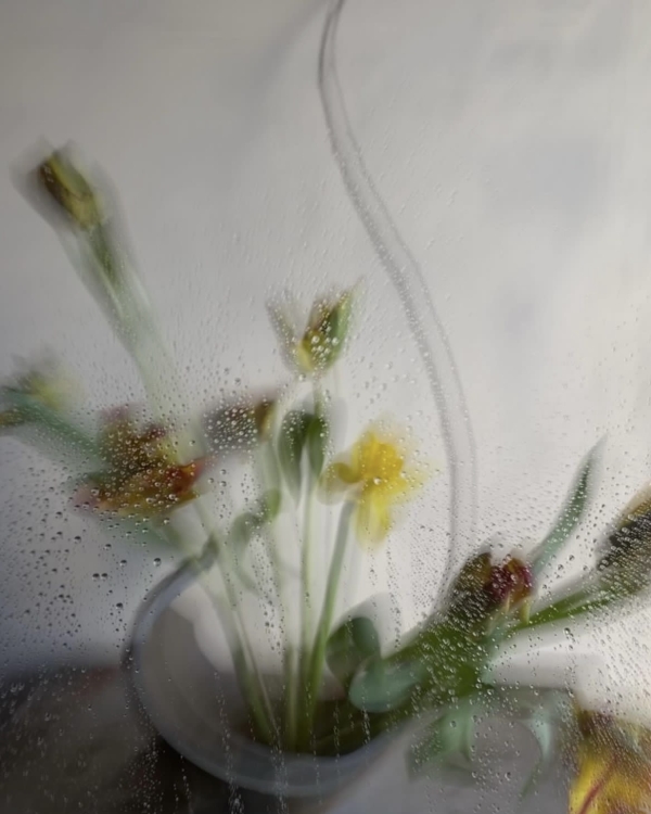 Как ухаживать за букетом невесты, чтобы он