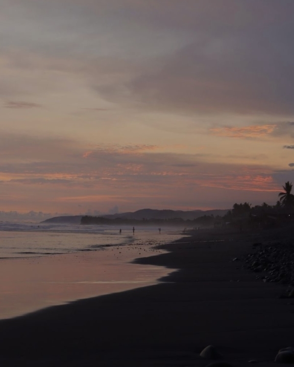 Лови волну! Где встать на серф в