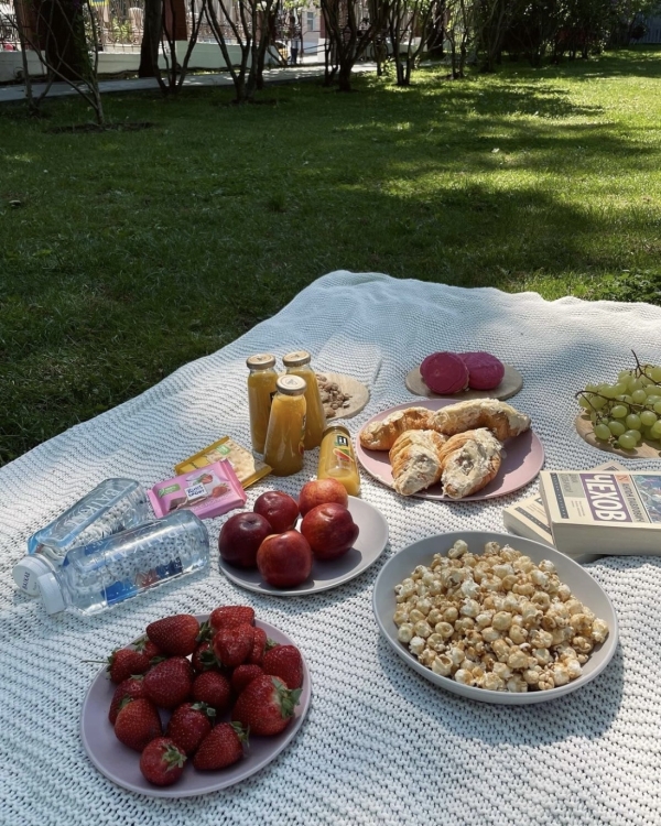 Где устроить пикник в Москве?