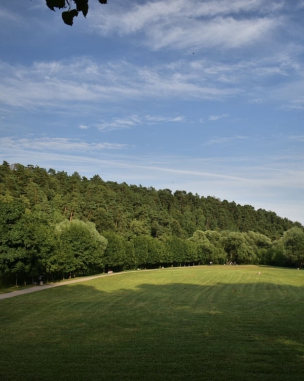 Гедонистам на заметку: 10 красивых загородных усадеб