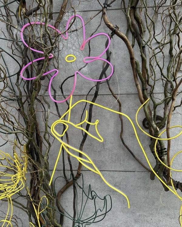 Дачная атмосфера в Muse, пышные оладушки в