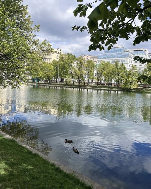 Где устроить пикник в Москве?