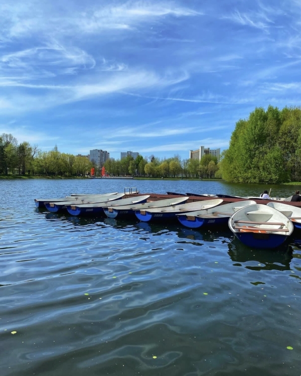 Где устроить пикник в Москве?