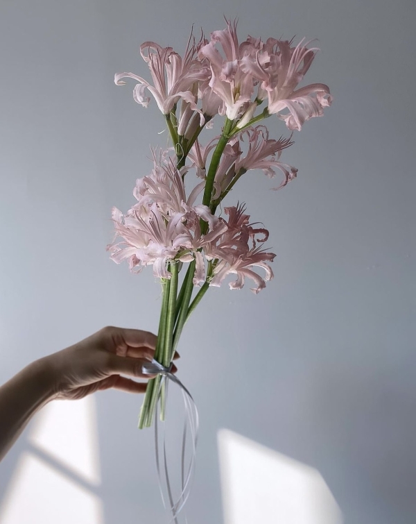 Цветов, да побольше: 20 идей для летнего