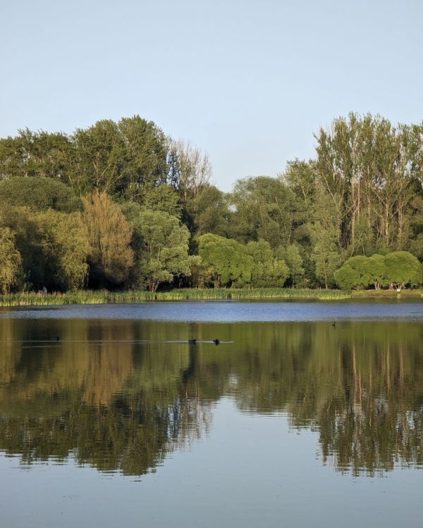 Где устроить пикник в Москве?