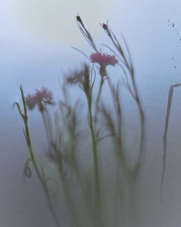 Куда поехать на выходные из Москвы?