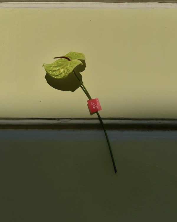 Как ухаживать за букетом невесты, чтобы он