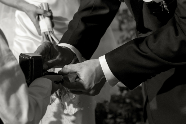 Фотографы Алена Плакс